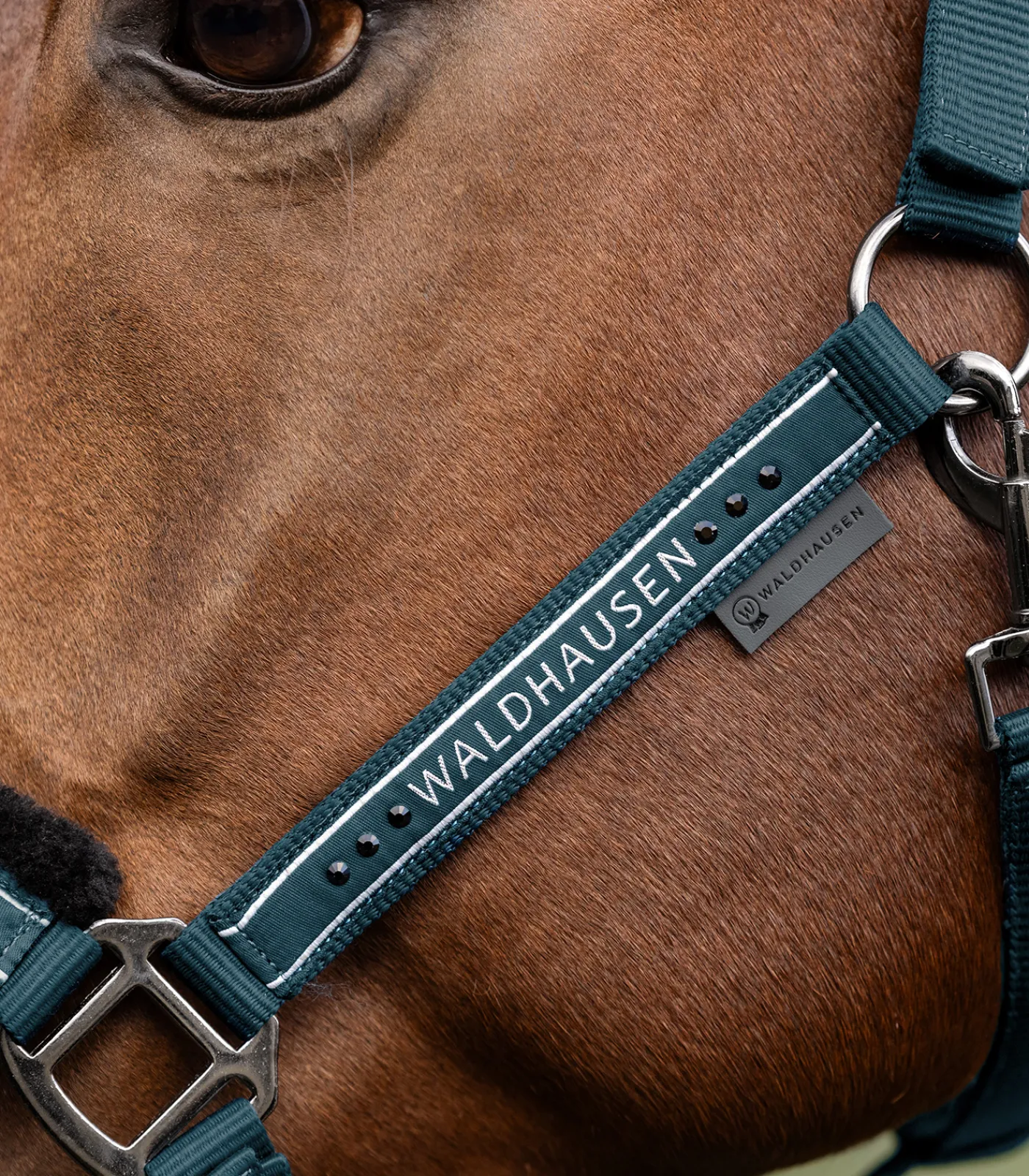 Waldhausen Pony & Shetty|Halfter>Halfter Elegant