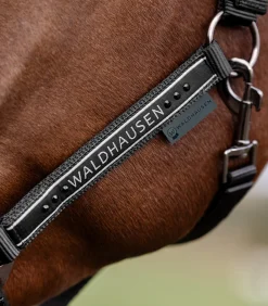 Waldhausen Pony & Shetty|Halfter><noscript><img width=