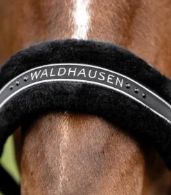 Waldhausen Pony & Shetty|Halfter><noscript><img width=