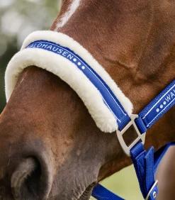 Waldhausen Pony & Shetty|Halfter><noscript><img width=