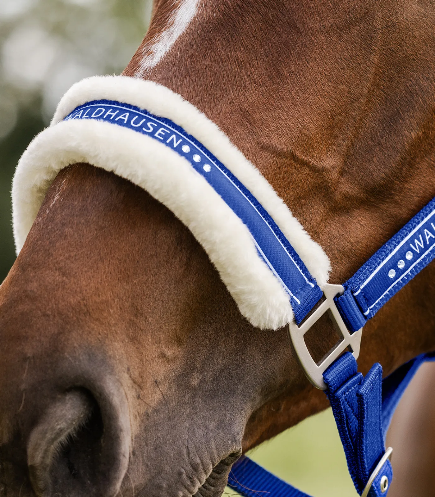 Waldhausen Pony & Shetty|Halfter>Halfter Elegant