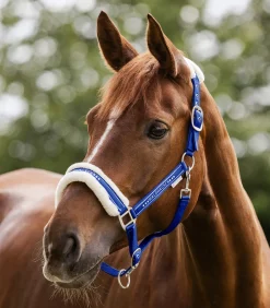 Waldhausen Pony & Shetty|Halfter><noscript><img width=