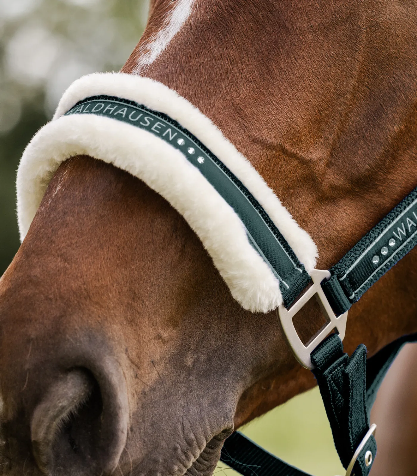 Waldhausen Pony & Shetty|Halfter>Halfter Elegant