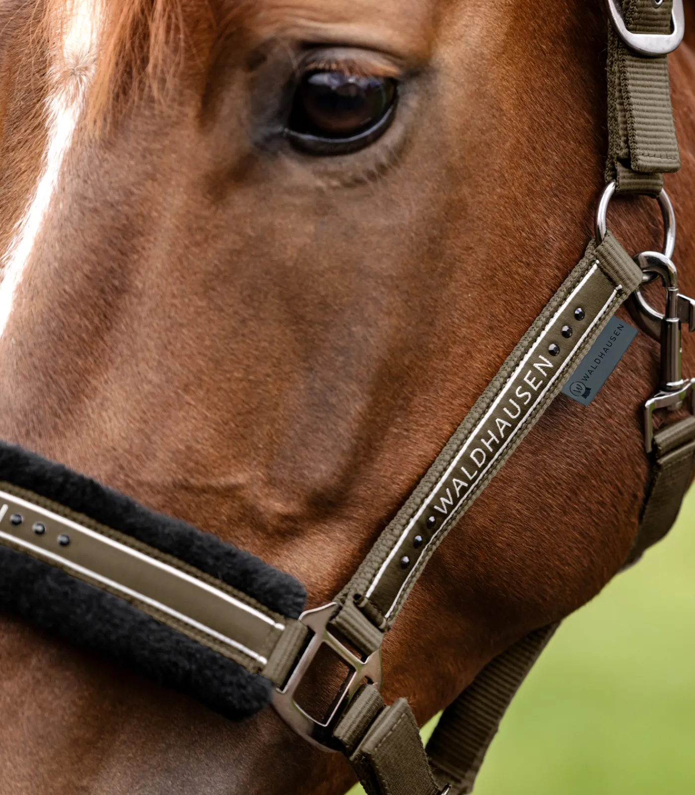 Waldhausen Pony & Shetty|Halfter>Halfter Elegant