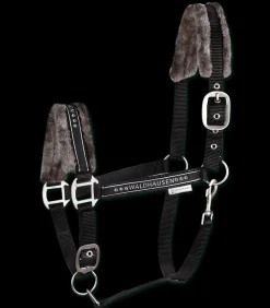 Waldhausen Pony & Shetty|Halfter><noscript><img width=