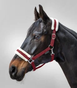 Waldhausen Halfter><noscript><img width=