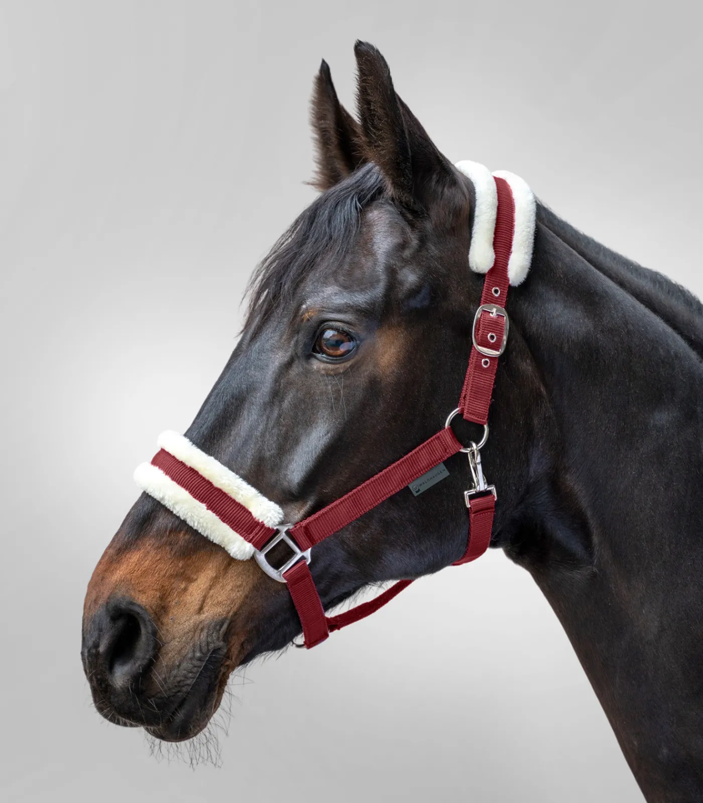 Waldhausen Halfter>Halfter First