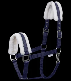 Waldhausen Halfter><noscript><img width=