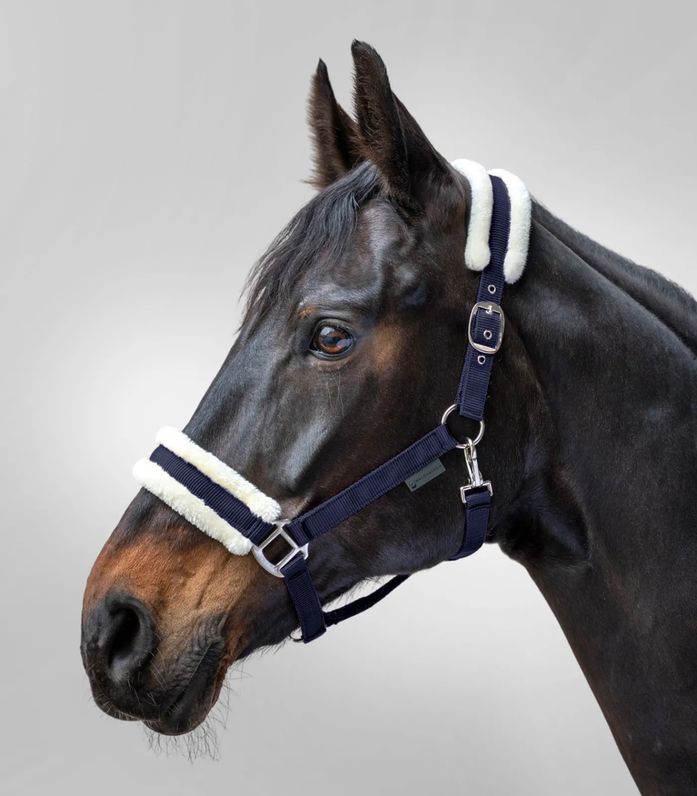 Waldhausen Halfter>Halfter First