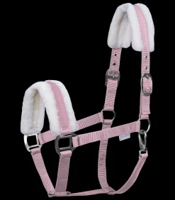 Waldhausen Halfter><noscript><img width=