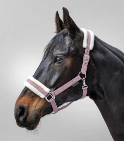 Waldhausen Halfter><noscript><img width=