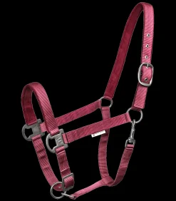 Waldhausen Pony & Shetty|Halfter><noscript><img width=