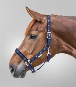 Waldhausen Halfter><noscript><img width=