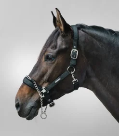 Waldhausen Halfter>Halfter Pro Safety