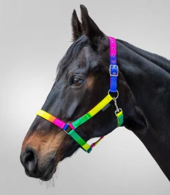 Waldhausen Halfter>Halfter Regenbogen