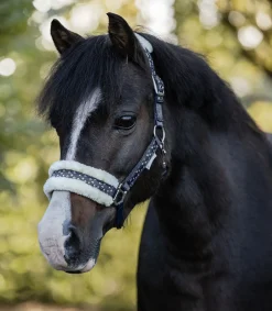 Waldhausen Halfter>Halfter Set Lucky