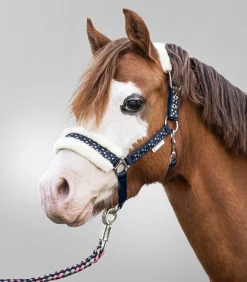 Waldhausen Halfter><noscript><img width=