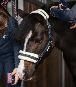 Waldhausen Halfter><noscript><img width=