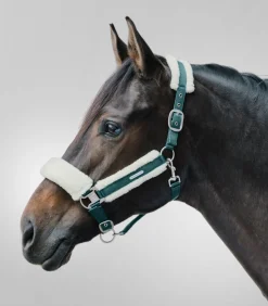 Waldhausen Halfter><noscript><img width=