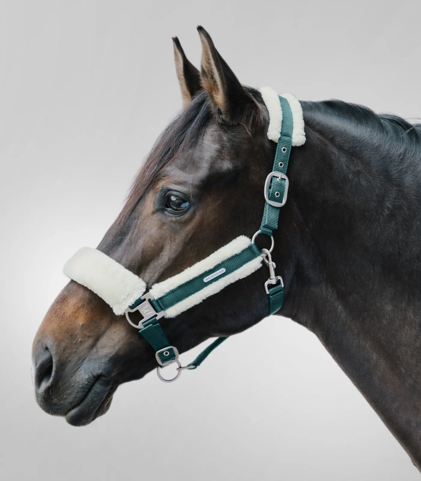 Waldhausen Halfter>Halfter Soft