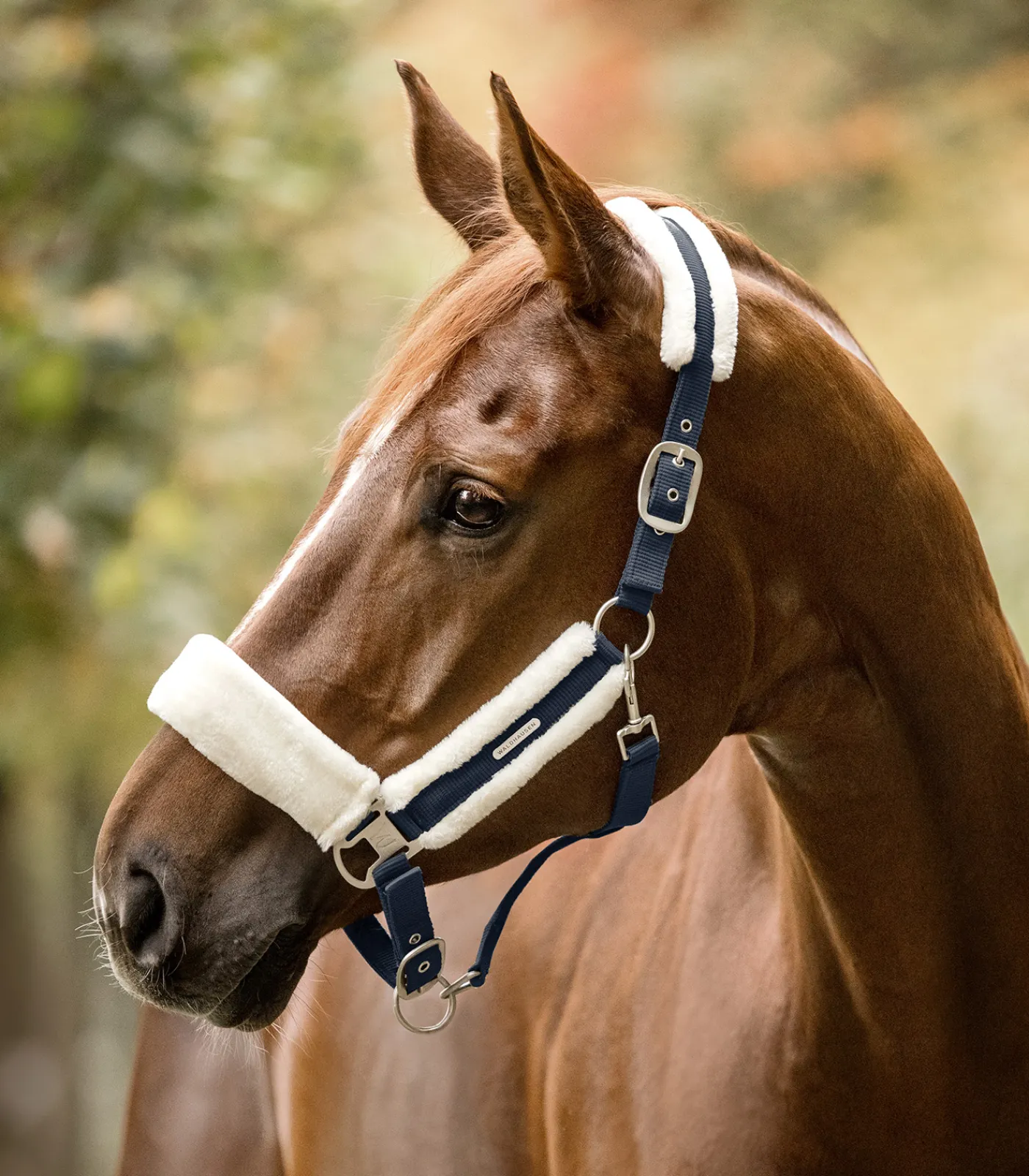 Waldhausen Halfter>Halfter Soft