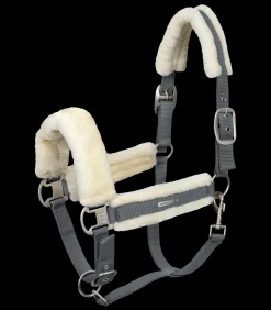 Waldhausen Halfter><noscript><img width=