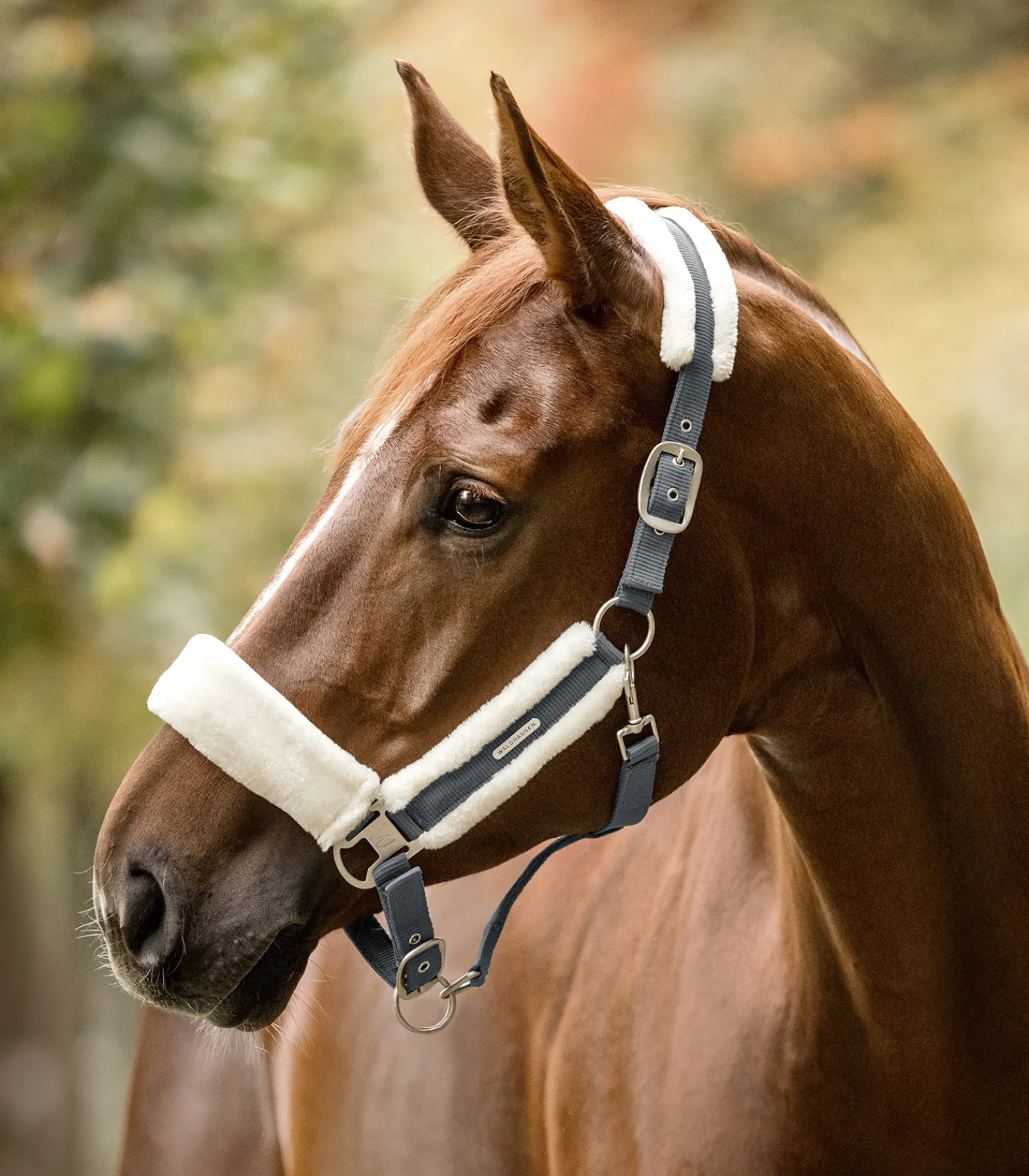 Waldhausen Halfter>Halfter Soft