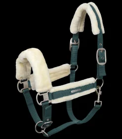 Waldhausen Halfter><noscript><img width=