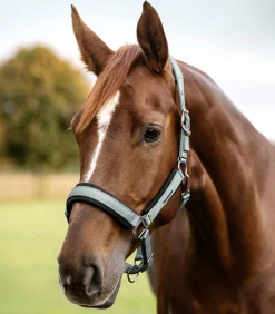 Waldhausen Halfter>Halfter Soft Touch