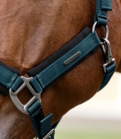 Waldhausen Halfter><noscript><img width=