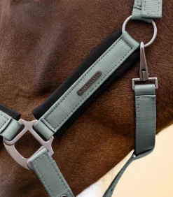 Waldhausen Halfter><noscript><img width=