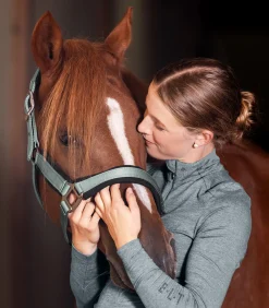 Waldhausen Halfter><noscript><img width=