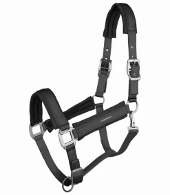 Waldhausen Halfter><noscript><img width=