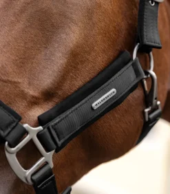 Waldhausen Halfter><noscript><img width=