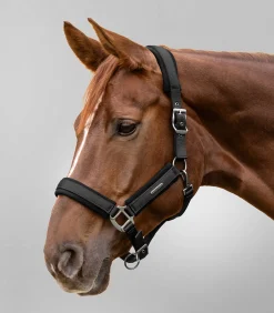 Waldhausen Halfter><noscript><img width=