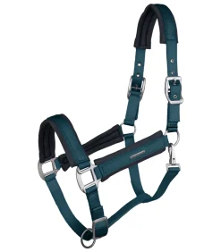 Waldhausen Halfter><noscript><img width=