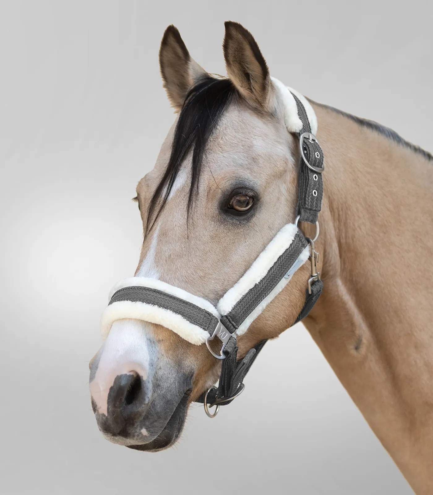 Waldhausen Pony & Shetty|Halfter>Halfter Sparkle