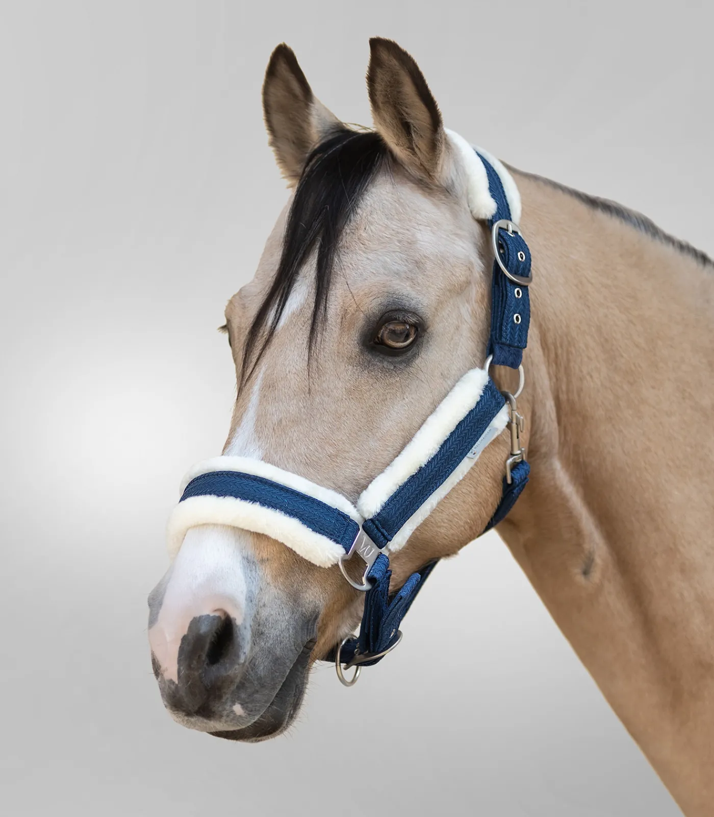 Waldhausen Pony & Shetty|Halfter>Halfter Sparkle