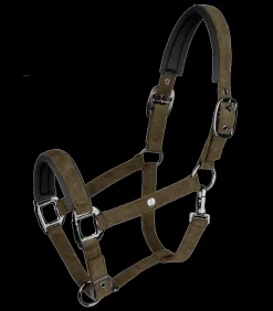 Waldhausen Halfter><noscript><img width=