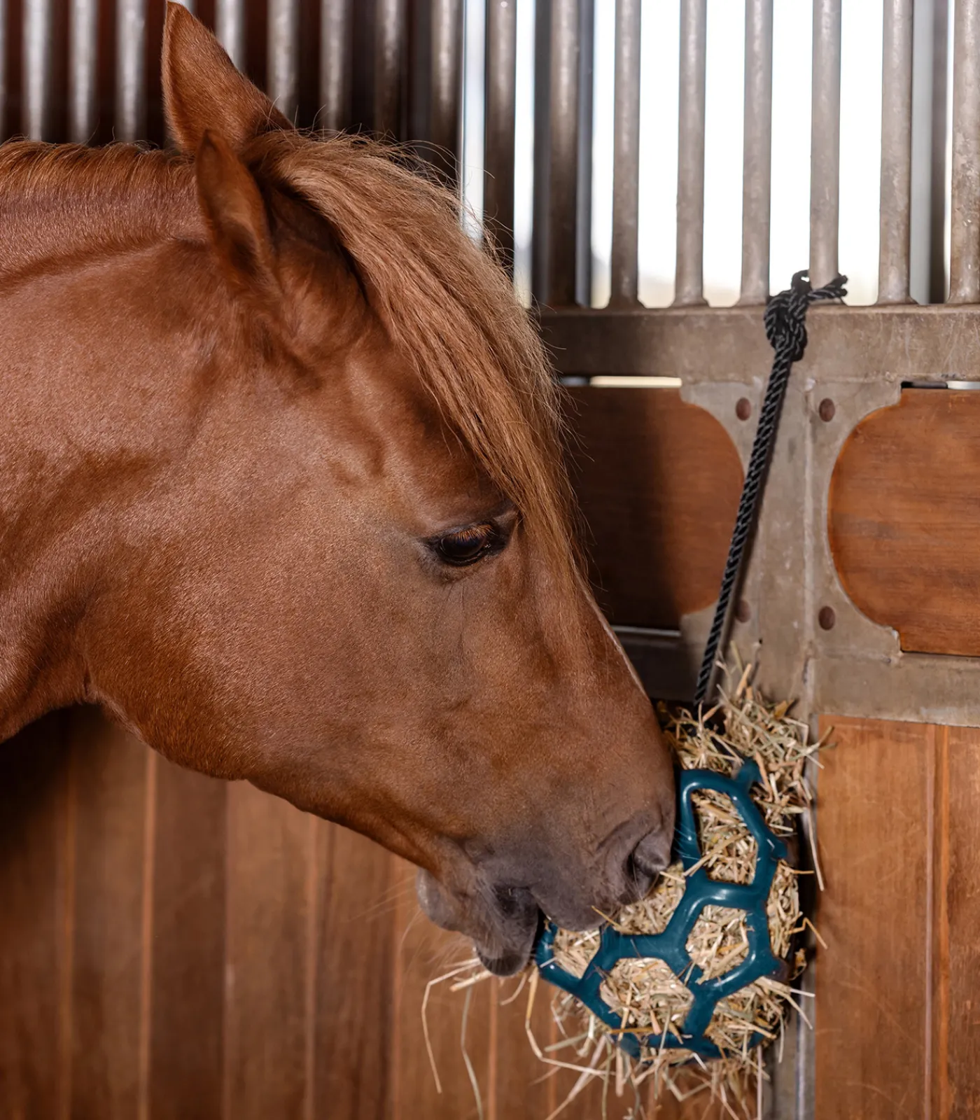 Waldhausen Pferdespielzeug & Beschäftigung|Heunetze>Heuball