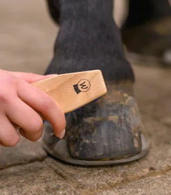 Waldhausen Huf & Pferdebein|Hufpflege><noscript><img width=