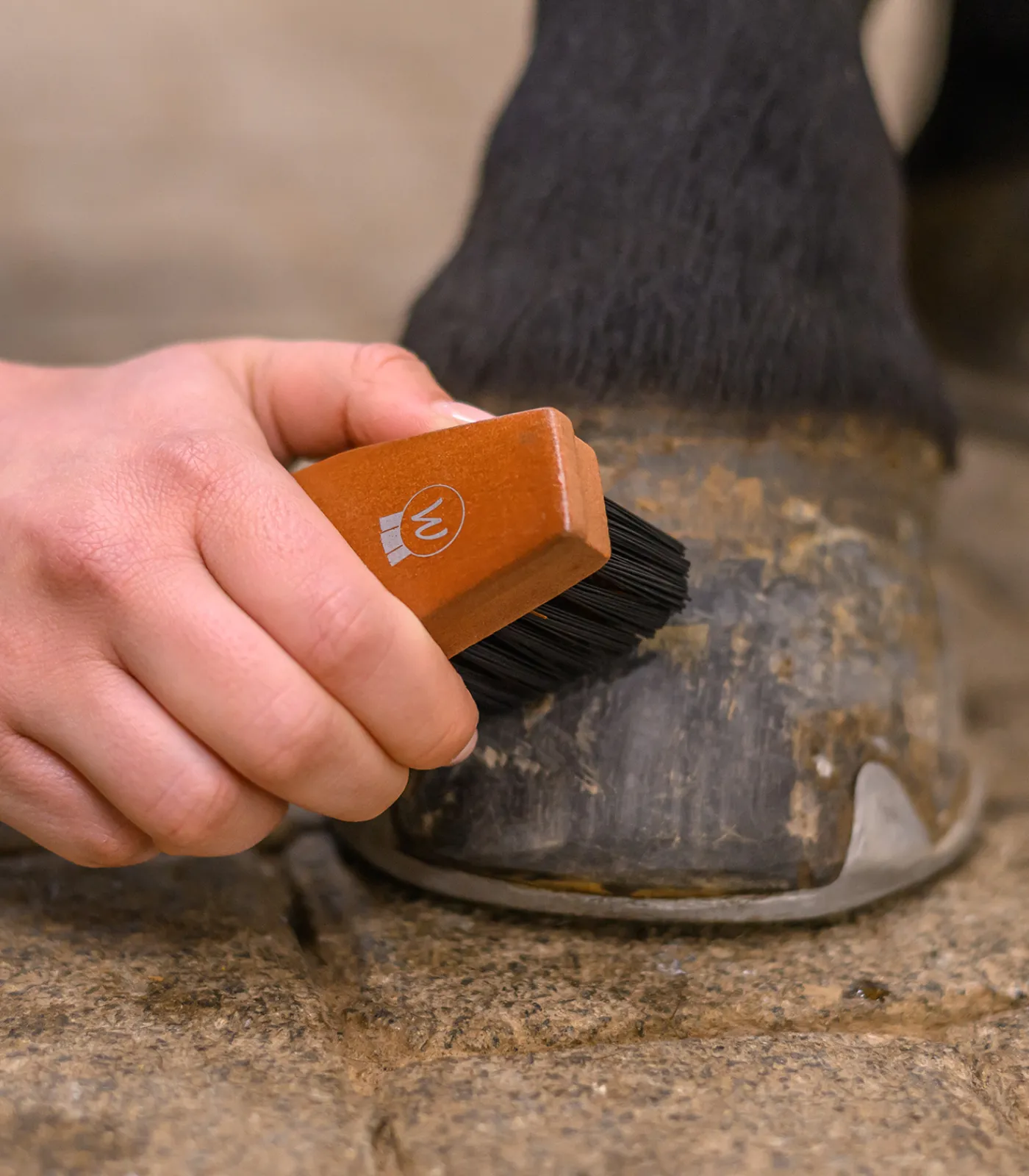 Waldhausen Hufpflege|Putzzeug>Hufbürste HardWood