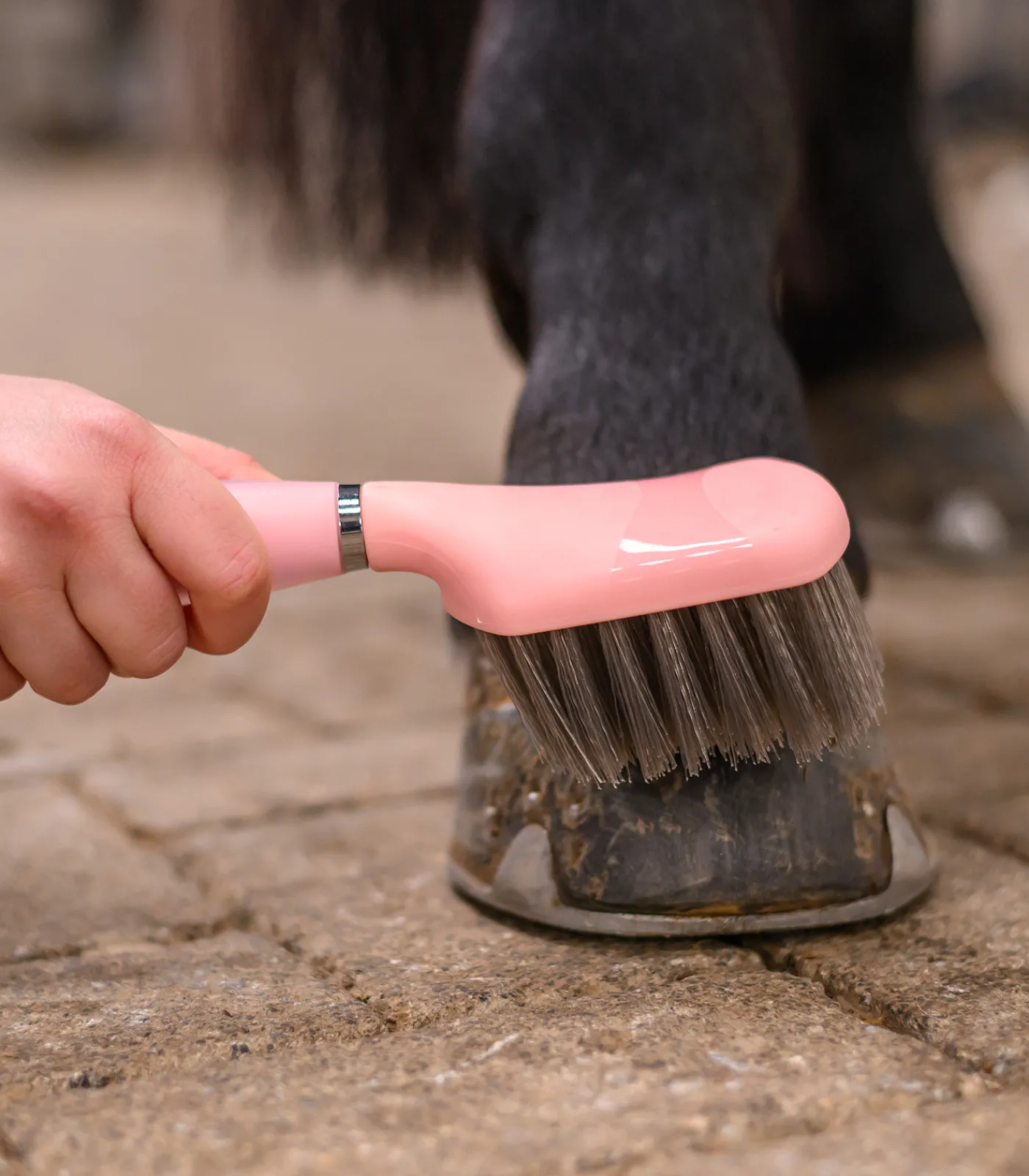 Waldhausen Hufpflege|Putzzeug>Hufbürste mit Gelgriff