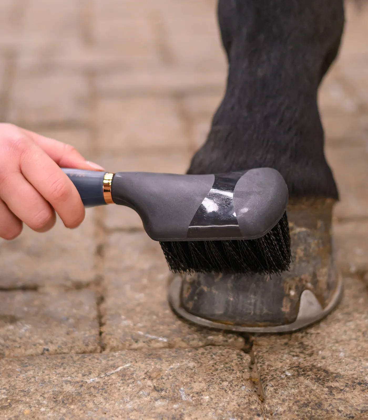 Waldhausen Hufpflege|Putzzeug>Hufbürste mit Gelgriff