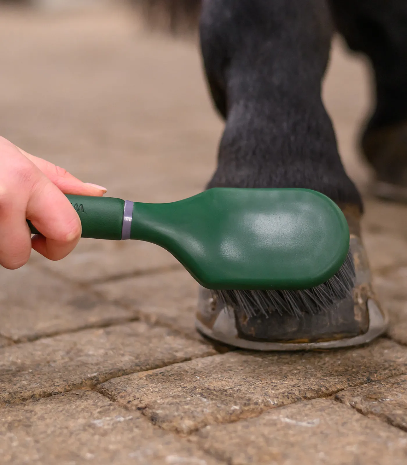 Waldhausen Hufpflege|Putzzeug>Hufbürste Synthetic