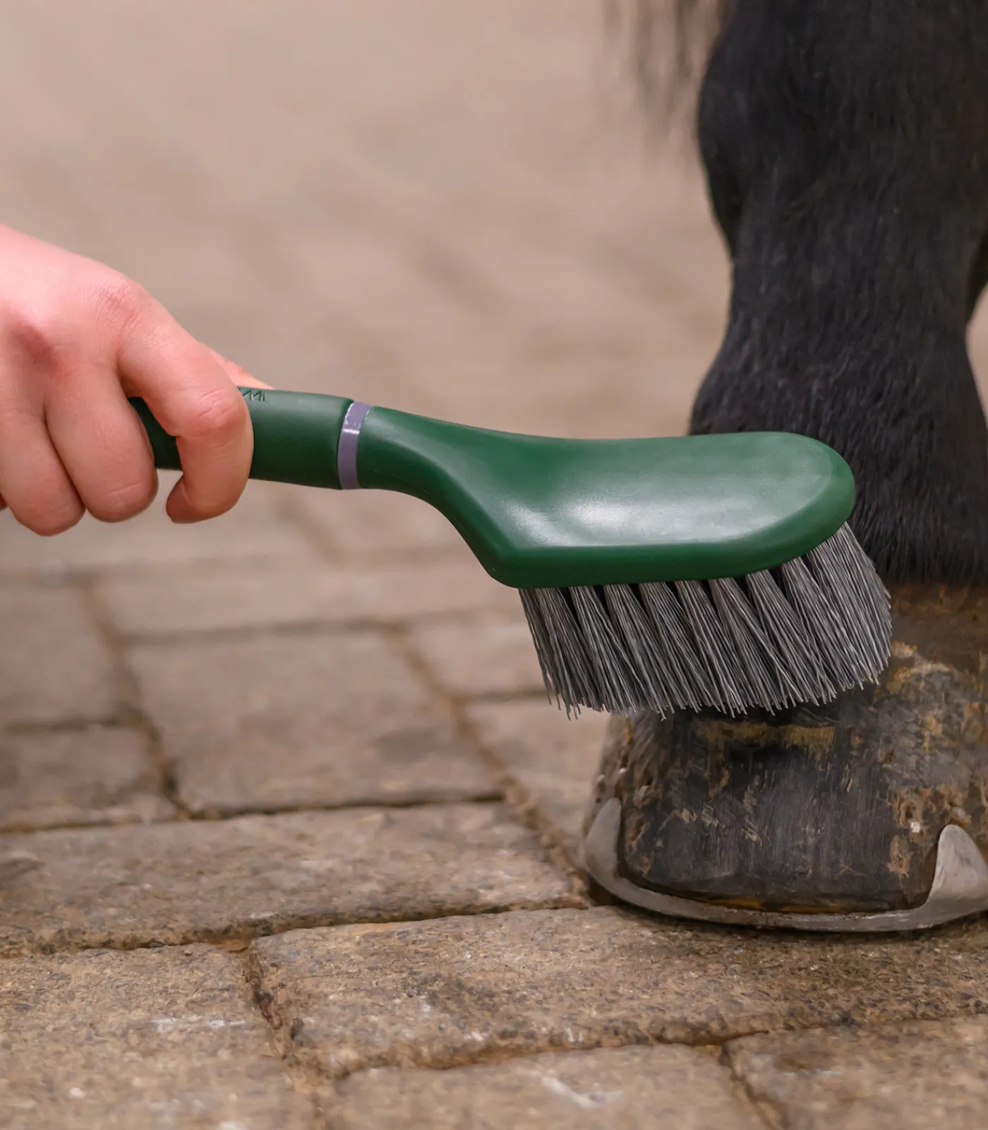 Waldhausen Hufpflege|Putzzeug>Hufbürste Synthetic
