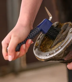 Waldhausen Hufpflege|Putzzeug><noscript><img width=