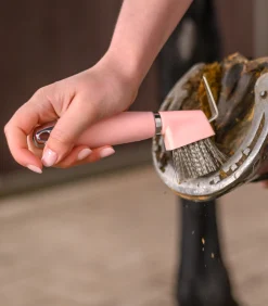 Waldhausen Hufpflege|Putzzeug><noscript><img width=