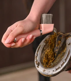 Waldhausen Hufpflege|Putzzeug><noscript><img width=