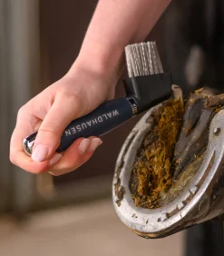 Waldhausen Hufpflege|Putzzeug><noscript><img width=